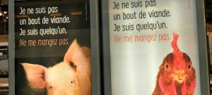 Affiches PETA