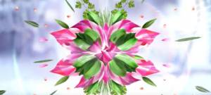 fleur