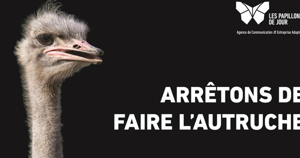 Autruche affiche