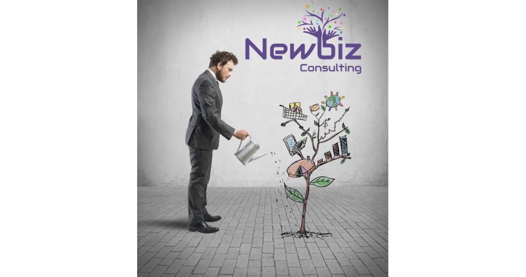 Newbiz Consulting