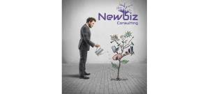Newbiz Consulting