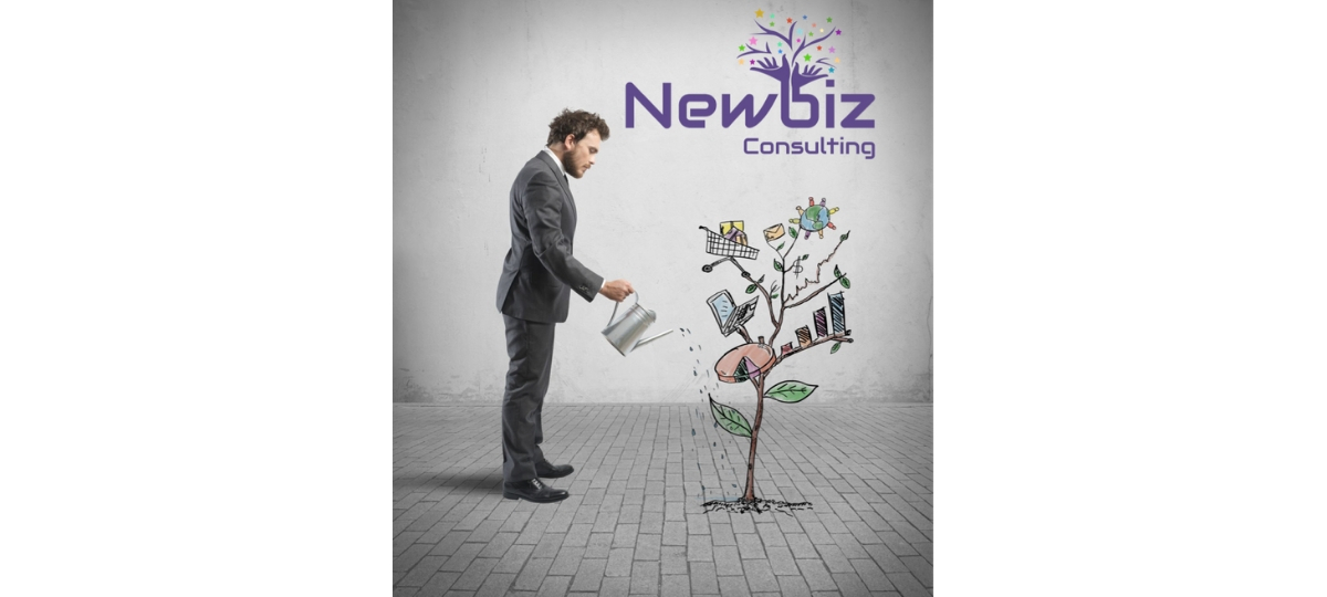 Lancement de Newbiz Consulting Newbiz Consulting