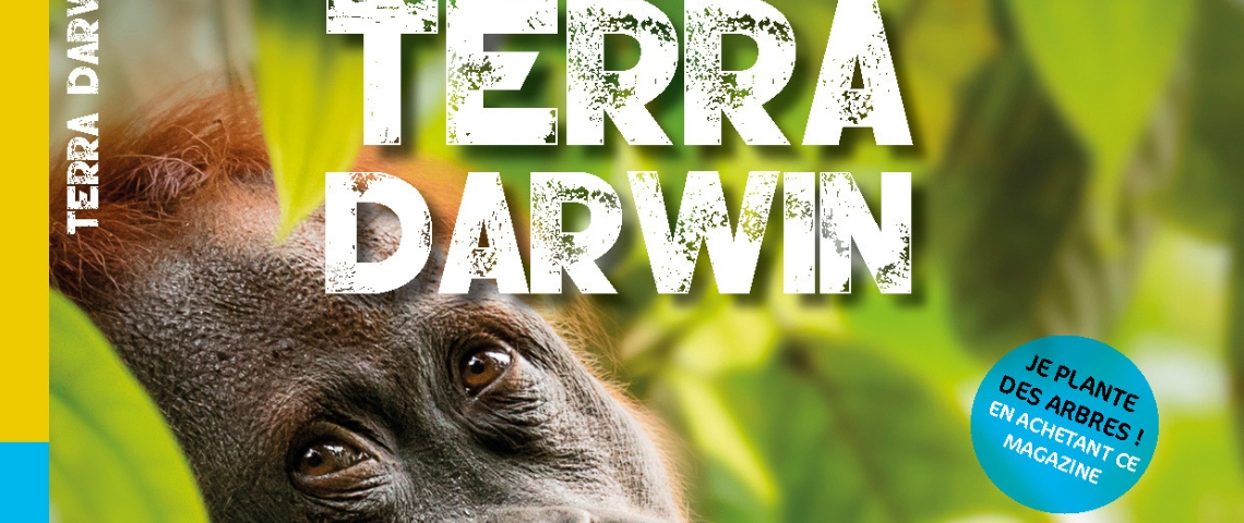 Découvrez le nouveau magazine Terra Darwin Terra Darwin couverture