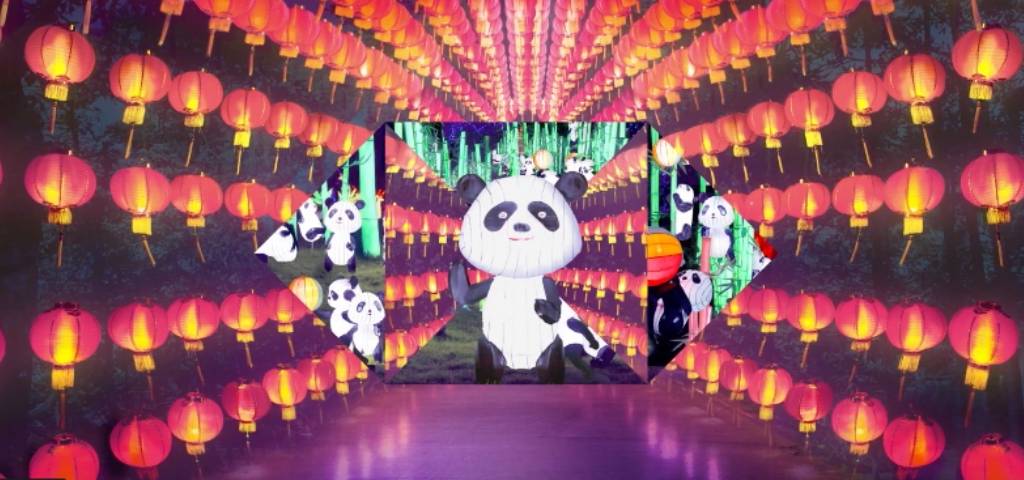 Image d'un panda sur un écran