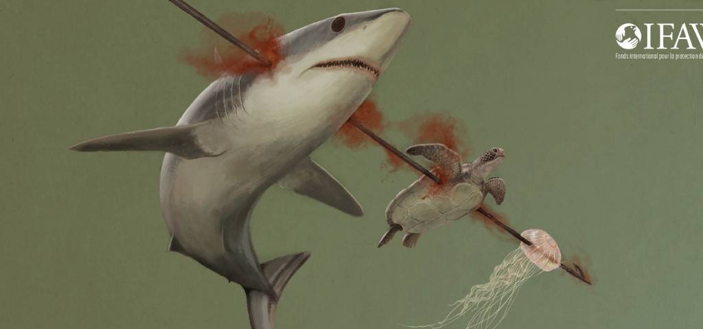 Ifaw et Publicis Conseil s'engagent pour la protection des animaux Affiche IFAW