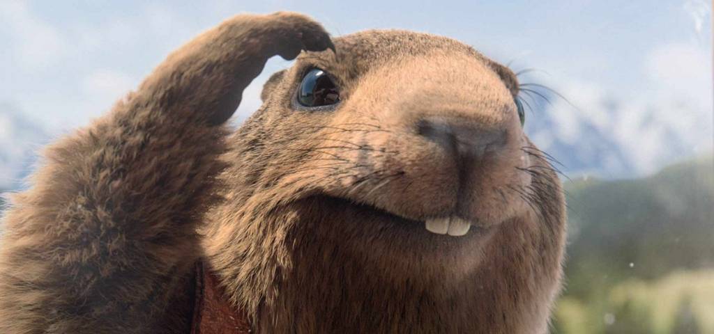 La marmotte de la publicité Milka qui regarde par la fenêtre