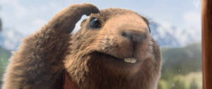 La marmotte de la publicité Milka qui regarde par la fenêtre
