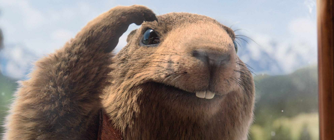La marmotte Milka est de retour !  La marmotte de la publicité Milka qui regarde par la fenêtre