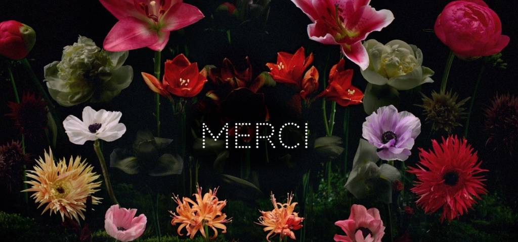 Fleurs sur fond noir