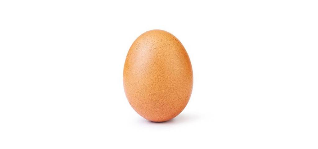Un oeuf