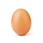 Un oeuf