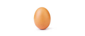 Un oeuf