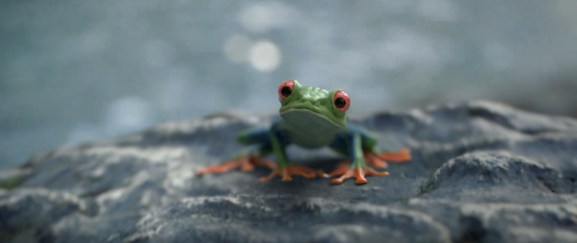 La publicité Nikon pour les verres optiques Une grenouille