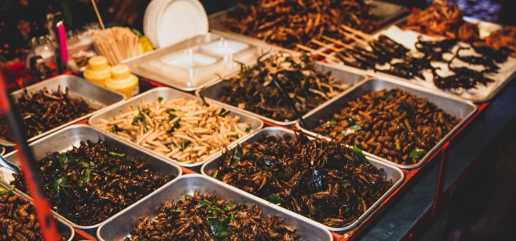 Des insectes sur un marché thailandais