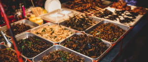 Des insectes sur un marché thailandais