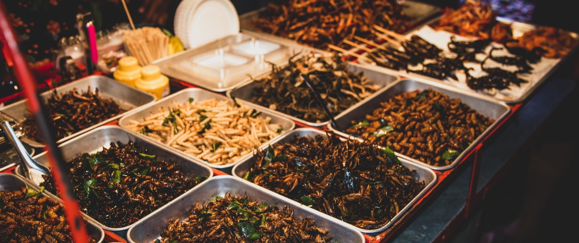 Ynsect lève 125 millions d'euros Des insectes sur un marché thailandais