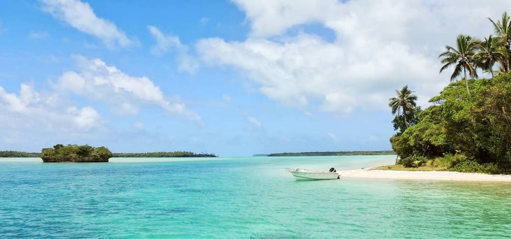 Une île paradisiaque avec des palmiers