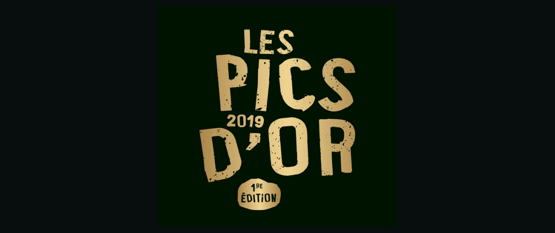 Les pics d'Or récompenses les pires initiatives anti-SDF Logo Pics d'Or