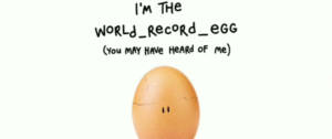 World Record Egg