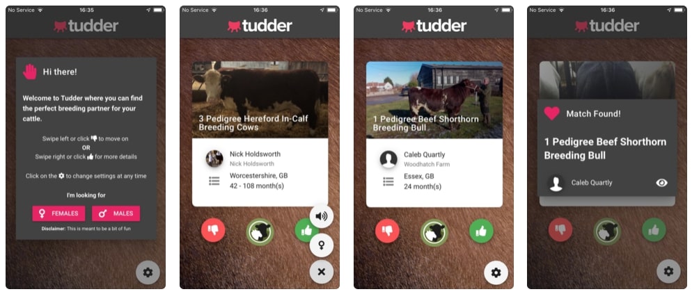 Captures d'écran de Tudder