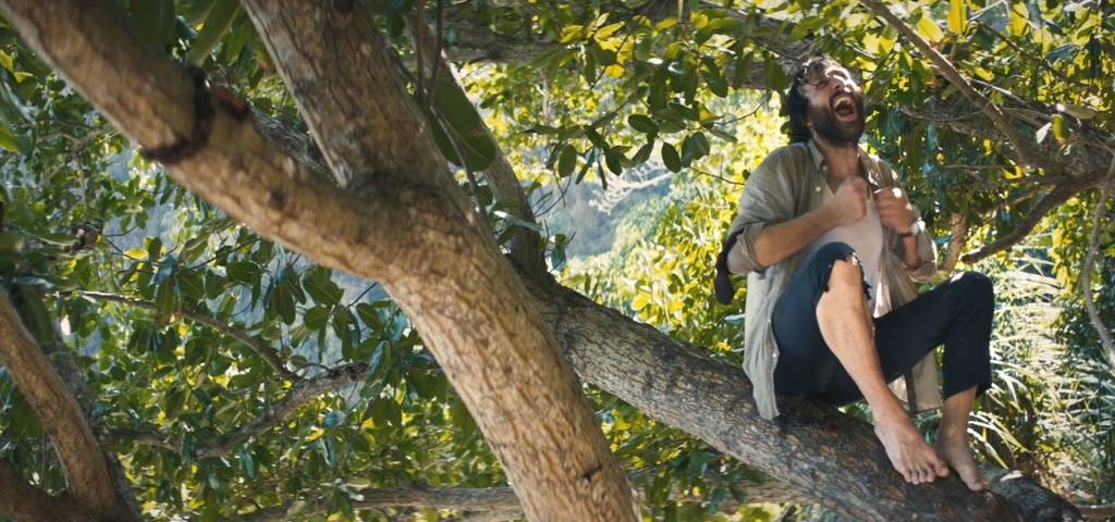 Un homme dans un arbre en train de crier