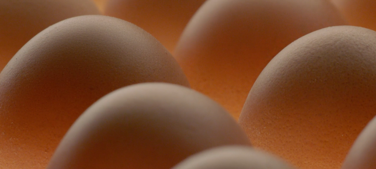 Le Egg McMuffin de McDonald's en ASMR Des oeufs en gros plan