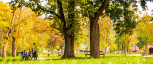Un parc au printemps