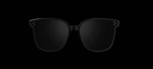 Les Gentle Monster Eeywear de Huawei