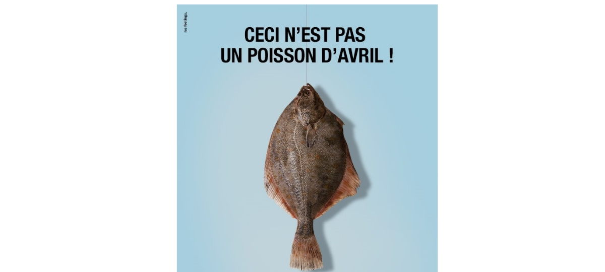 PromerOcean se joue du poisson d'avril PromerOcean se joue du poisson d'avril