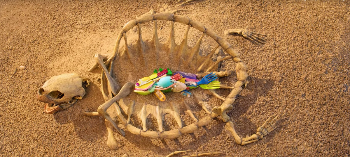 Corona et Parley for the Oceans luttent contre la pollution des océans dans The Fish Poisson composé de plastique dans la carcasse d'une tortue
