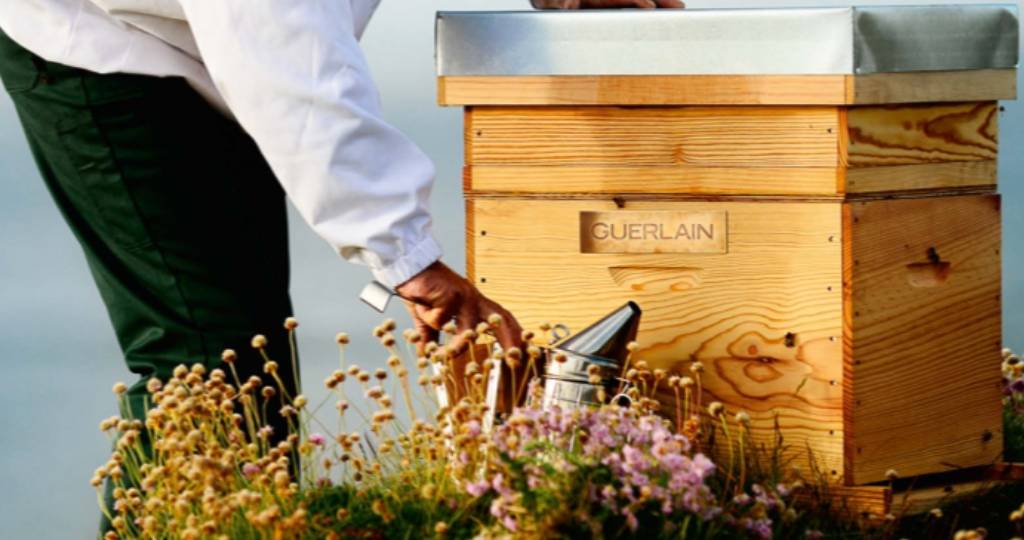 Guerlain dévoile BEE RESPECT, la plateforme de transparence et de traçabilité de ses créations Apiculteur Guerlain