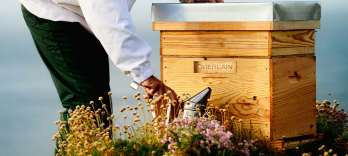 Guerlain dévoile BEE RESPECT, la plateforme de transparence et de traçabilité de ses créations Apiculteur Guerlain