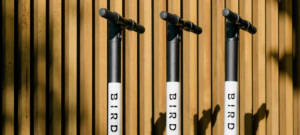 Trois trotinettes Bird sur un fond en bois