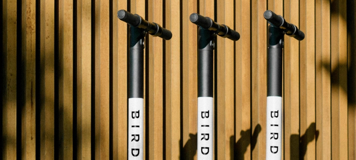 Trois trotinettes Bird sur un fond en bois