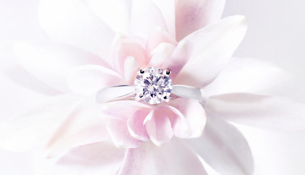 Une bague dans une fleur