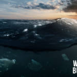 La mer avec des déchets plastiques dedans