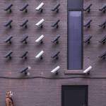 deux femmes regardent un mur de caméra de surveillance