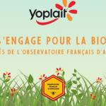 Visuel Yoplait