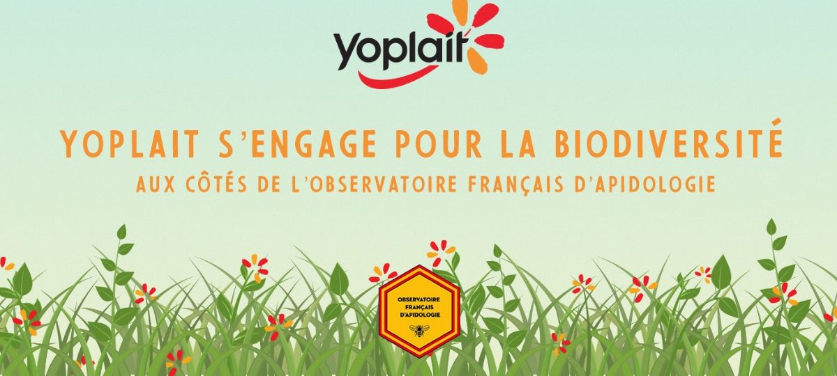 Yoplait plante des fleurs pour sauver les abeilles Visuel Yoplait