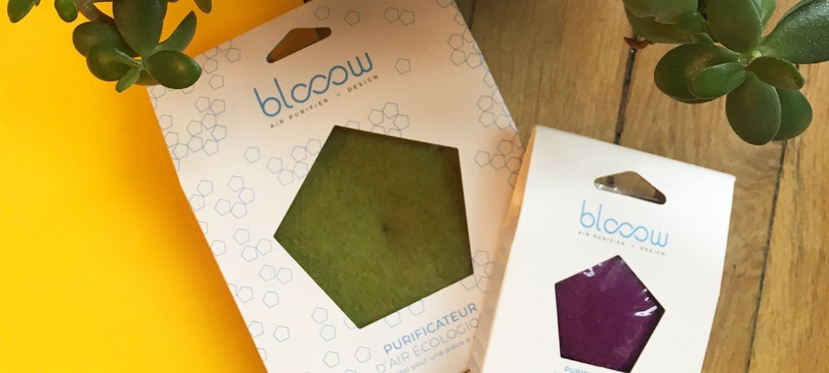 Blooow : les purificateurs d'air écolos et durables Purifacteurs d'air écologiques et durables Blooow