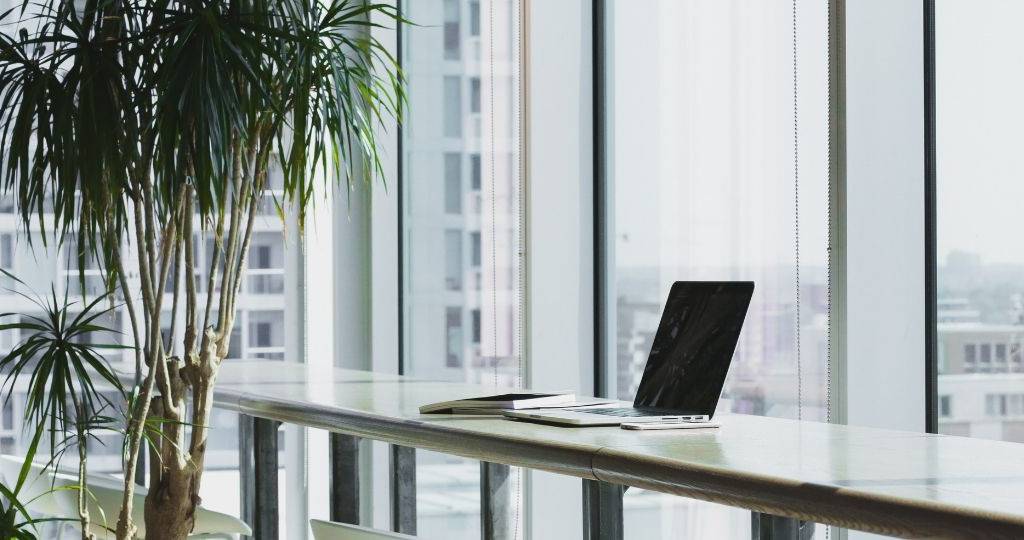 Un bureau avec une plante et un ordinateur posé sur une table.