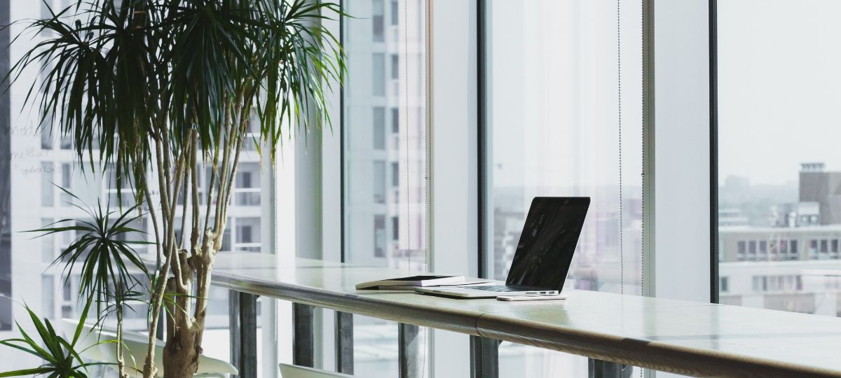 Eco Desko Challenge 2019 Un bureau avec une plante et un ordinateur posé sur une table.