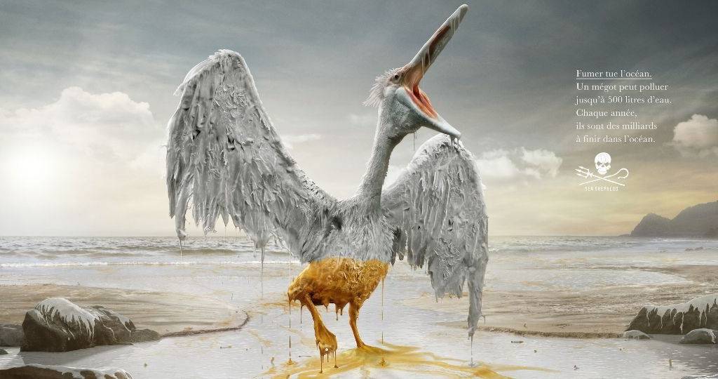 Shea Shepherd dénonce la pollution des eaux par les cigarettes Un oiseau blanc est bloqué par une marée noir