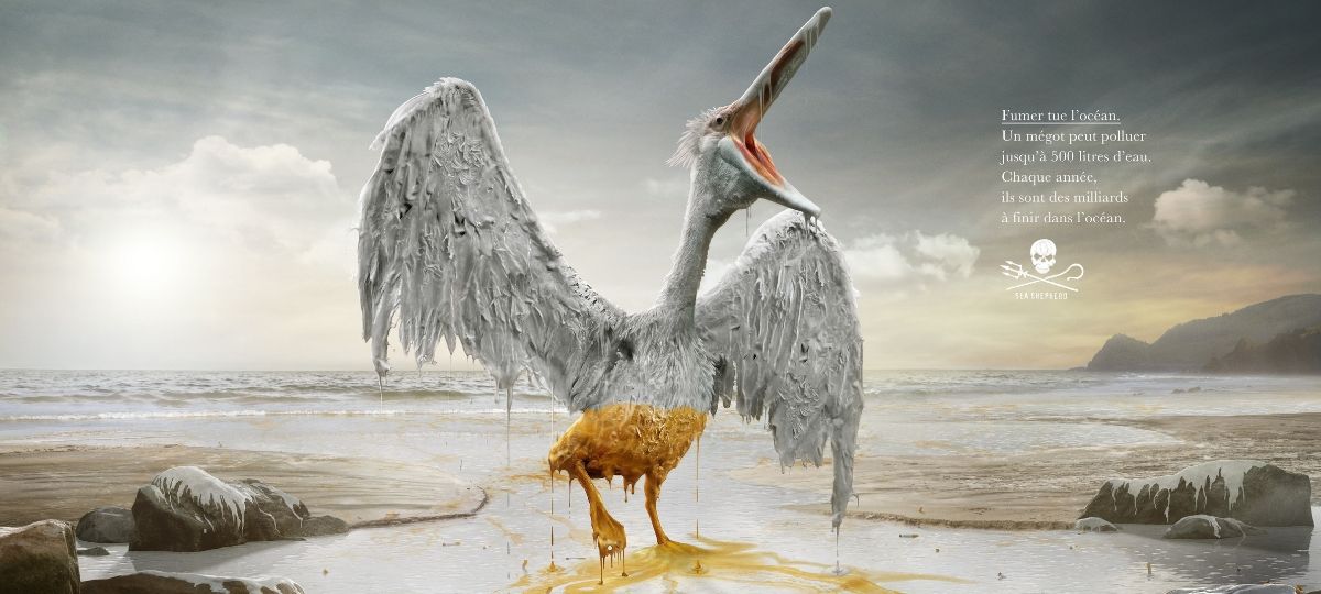 Shea Shepherd dénonce la pollution des eaux par les cigarettes Un oiseau blanc est bloqué par une marée noir