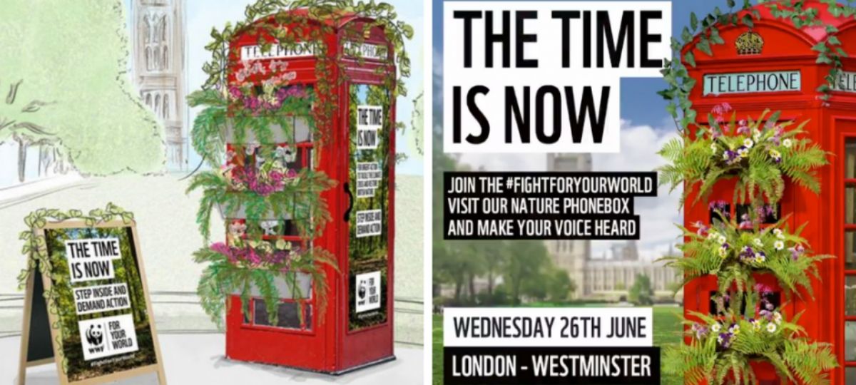 UK: WWF lance une cabine téléphonique pour l’environnement Une cabine téléphonique britannique rouge végétalisée