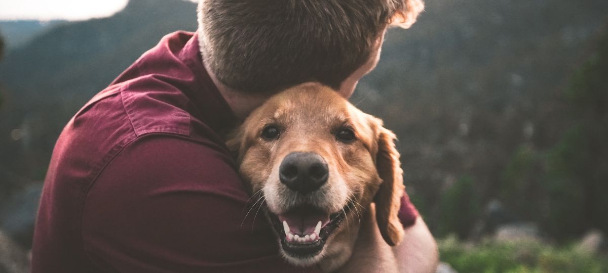 Une start-up chinoise invente un système reconnaissance faciale pour retrouver son chien Un maitre et son chien s'enlace en haut d'une montagne