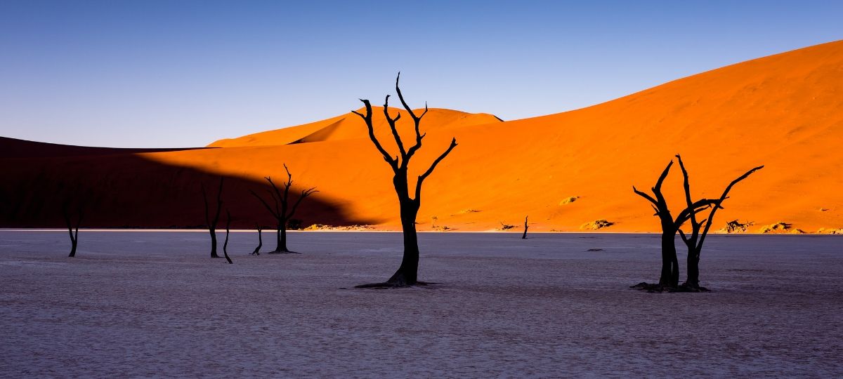 Le dérèglement climatique pourrait faire disparaître 80 millions d’emplois Un désert aride