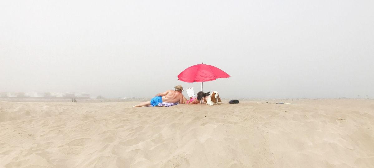 Le concours national JCDecaux remporté par Magali Chesnel Un couple et son chien sont assis sur la plage en regardant la ville