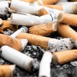 Un tas de mégots de cigarettes