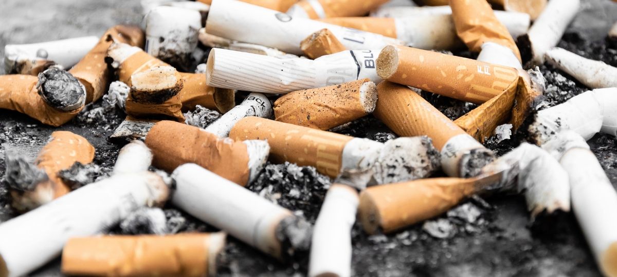 Les mégots de cigarettes diminuent de moitié la croissance d'une plante Un tas de mégots de cigarettes